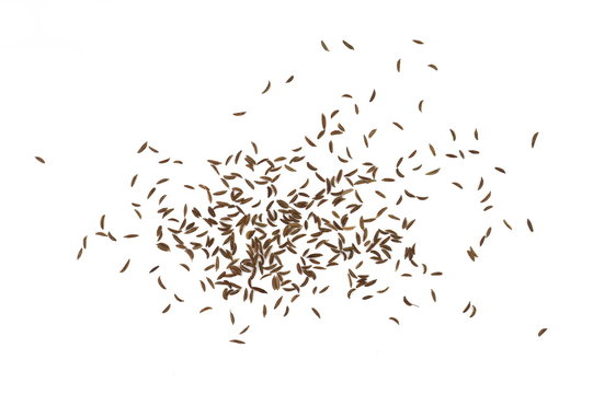 Cumin seeds or caraway isolated on white background