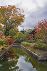Obraz premium 古都京都 東寺の秋景色