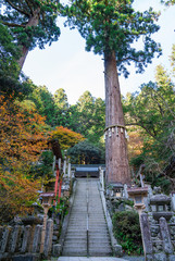 京都　由岐神社（ゆきじんじゃ）