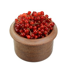 Red currants in a bowl isolated on white background