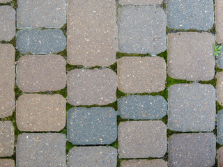Brick Walkway with Green Moss