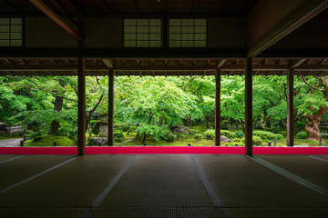 京都　圓光寺　日本庭園