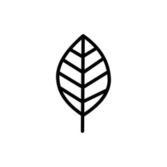 Leaf line symbol icon vector illustration