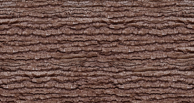Embossed natural tree bark texture