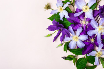 Summer floral background with beautiful purple flowers - Powered by Adobe