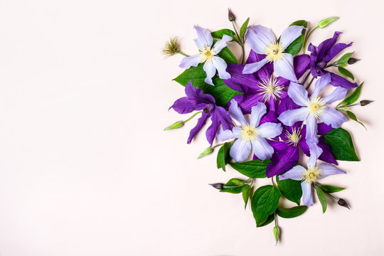 Creative layout made with Purple Flowers. Holiday greeting mockup