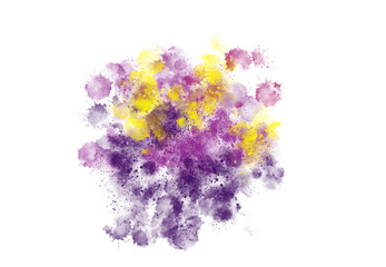 Abstract watercolor brush spatter bot digital art painting soft focus for texture background
