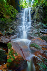 Fototapeta na wymiar waterfall in the coniferous forest