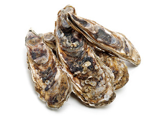 Fresh opened oyster on white background