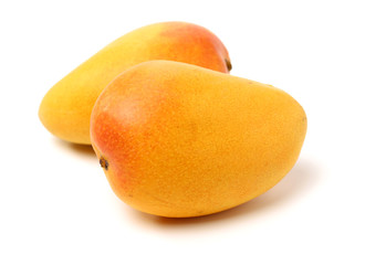 Mango on a white background