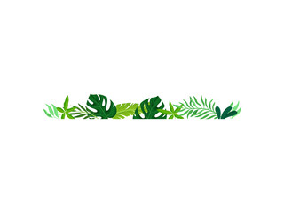 Horizontal line of leaves. Vector illustration on white background.