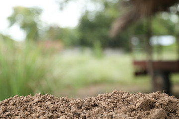 soil texture with green background for template design