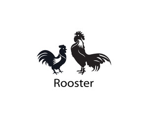 Rooster logo template vector design