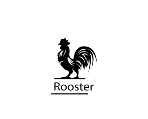 Fototapeta na wymiar Rooster logo template vector design