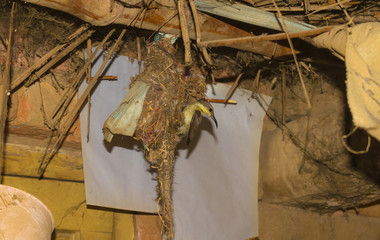 close up of multicolor muslim prayer beads on a prayer mate