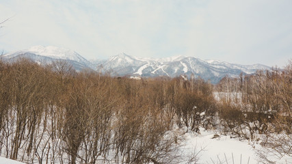 On the hilltop in the northern part of the town of furano hokkaido is covered with snow, causing tourists to go skiing.