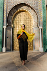 Tourist by Golden gate -  Kings Palace in Fez, Morocco