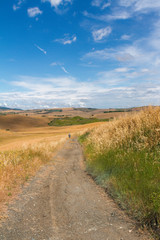 Fototapeta na wymiar Hills immersed in the beautiful Tuscan countryside