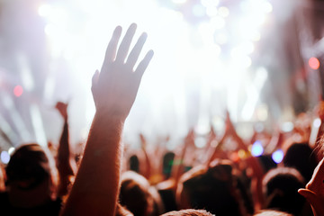 Portrait of happy crowd enjoying at music festival