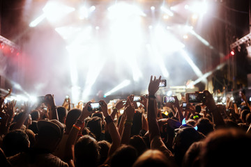 Portrait of happy crowd enjoying at music festival