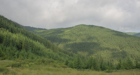 Obraz premium Trekking in the Carpathians, Hike to the border between Ukraine and Romania from Pop Ivan Marmarassky to Pop Ivan Chernogorsky.
