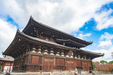 Fototapeta premium 古都京都 東寺 金堂