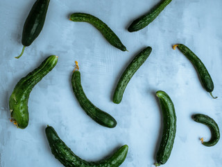 Trendy ugly organic cucumber on light blue backround. Zero waste concept.