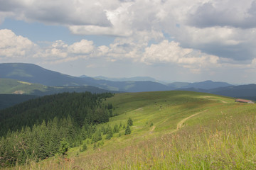 Fototapeta premium Trekking in the Carpathians, Hike to the border between Ukraine and Romania from Pop Ivan Marmarassky to Pop Ivan Chernogorsky.