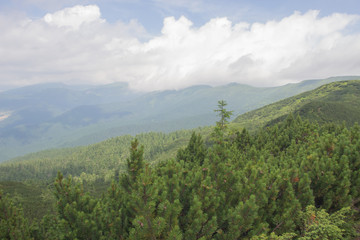 Trekking in the Carpathians, Hike to the border between Ukraine and Romania from Pop Ivan Marmarassky to Pop Ivan Chernogorsky.