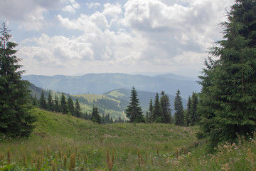 Trekking in the Carpathians, Hike to the border between Ukraine and Romania from Pop Ivan Marmarassky to Pop Ivan Chernogorsky.
