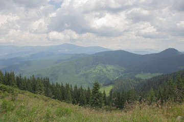 Naklejka premium Trekking in the Carpathians, Hike to the border between Ukraine and Romania from Pop Ivan Marmarassky to Pop Ivan Chernogorsky.