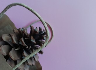Pine cone in eco bag on pinc background