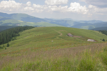 Fototapeta premium Trekking in the Carpathians, Hike to the border between Ukraine and Romania from Pop Ivan Marmarassky to Pop Ivan Chernogorsky.