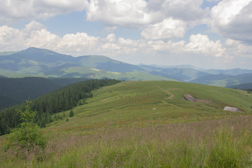Fototapeta na wymiar Trekking in the Carpathians, Hike to the border between Ukraine and Romania from Pop Ivan Marmarassky to Pop Ivan Chernogorsky.