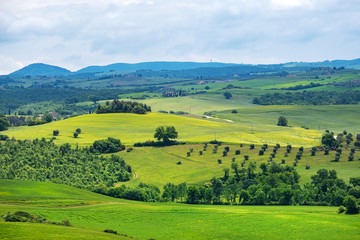 Fototapeta na wymiar Beautiful spring landscape in Tuscany, Italy