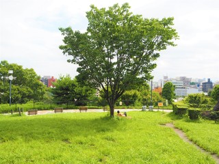 the Saigoyama park in Japan