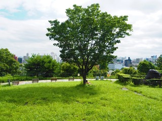 the Saigoyama park in Japan