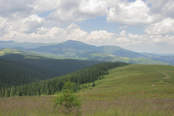 Trekking in the Carpathians, Hike to the border between Ukraine and Romania from Pop Ivan Marmarassky to Pop Ivan Chernogorsky.