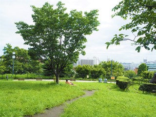 the Saigoyama park in Japan