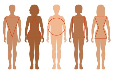 Five female silhouettes. Types of female figures