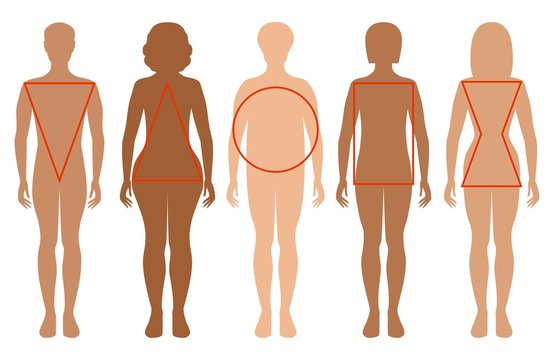 Five female silhouettes. Types of female figures