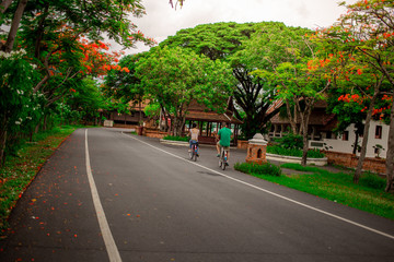 Fototapeta premium A group of tourist enjoyed .ride a bicycle at Ancient City Park or Muang Boran in Samut Prakan or Samutprakarn Province , Thailand.