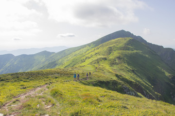 Trekking in the Carpathians, Hike to the border between Ukraine and Romania from Pop Ivan Marmarassky to Pop Ivan Chernogorsky.