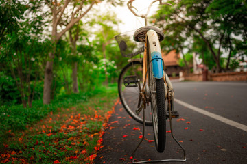 Fototapeta na wymiar beautiful landscape image with old Bicycle at park on sunshine day. selective focus.