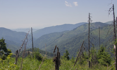 Trekking in the Carpathians, Hike to the border between Ukraine and Romania from Pop Ivan Marmarassky to Pop Ivan Chernogorsky.