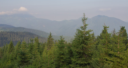 Trekking in the Carpathians, Hike to the border between Ukraine and Romania from Pop Ivan Marmarassky to Pop Ivan Chernogorsky.