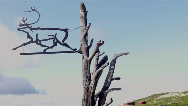 Reindeer sign hangs on a tree in Norway