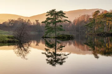 Zelfklevend Fotobehang Prachtig landschapsbeeld van Tarn Hows in Lake District tijdens prachtige herfstavondzonsondergang met levendige kleuren en stilstaand water © veneratio