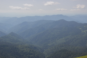 Obraz premium Trekking in the Carpathians, Hike to the border between Ukraine and Romania from Pop Ivan Marmarassky to Pop Ivan Chernogorsky.
