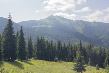 Trekking in the Carpathians, Hike to the border between Ukraine and Romania from Pop Ivan Marmarassky to Pop Ivan Chernogorsky.